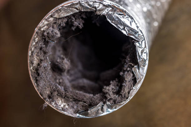Best Air Duct Cleaning Company Near Me  in Hoopa, CA